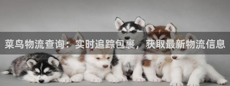 28圈充值方式