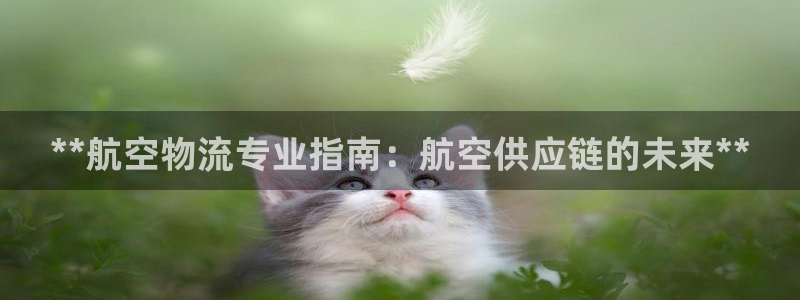 28圈怎么下载不了