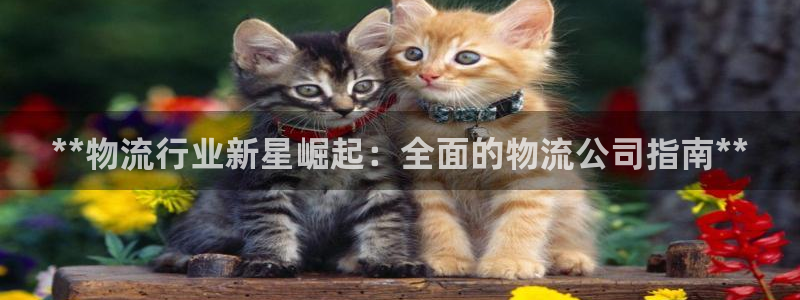 28圈软件堵什么反什么：**物流行业