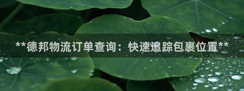 28圈.ccmpc预测：**德邦物流