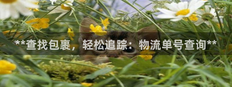 28圈怎么注册账号和密码：**查找包