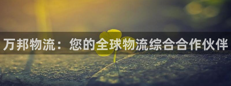 28圈正规吗