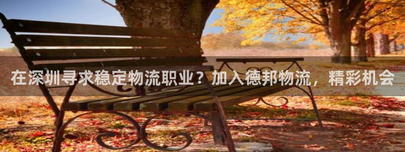 28圈选28ng官网