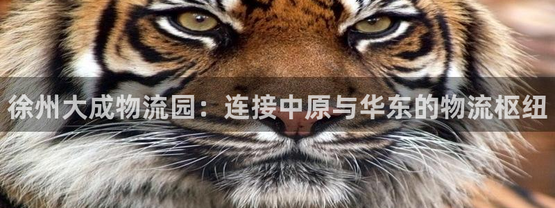 28圈注册官网：徐州大成物流园：连接