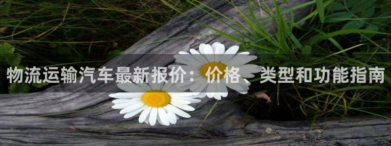 28圈注册网站加拿大：物流运输汽车最