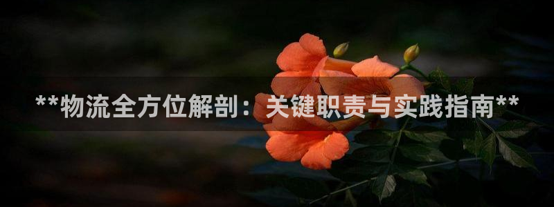28圈下载二维码
