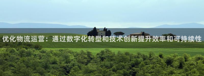 28圈比特28预测在线预测：优化物流