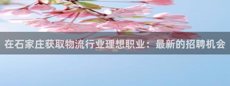 28圈链接