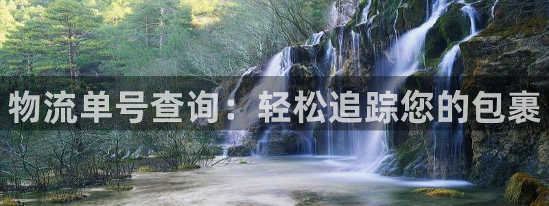 28圈注册登录链接流程：物流单号查询