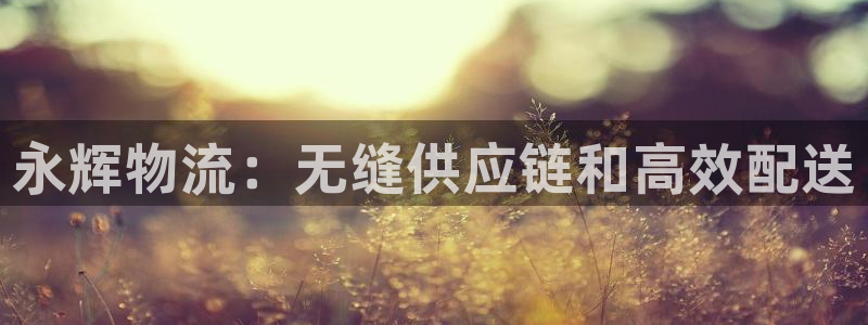 28圈是正规软件吗