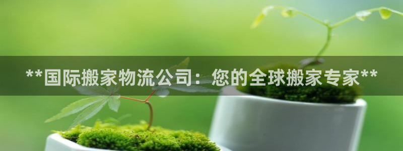 28圈pg麻将胡了：**国际搬家物流