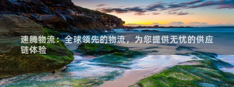 28圈官网注册：速腾物流：全球领先的