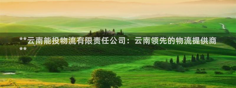 28圈注册网站链接：**云南能投物流