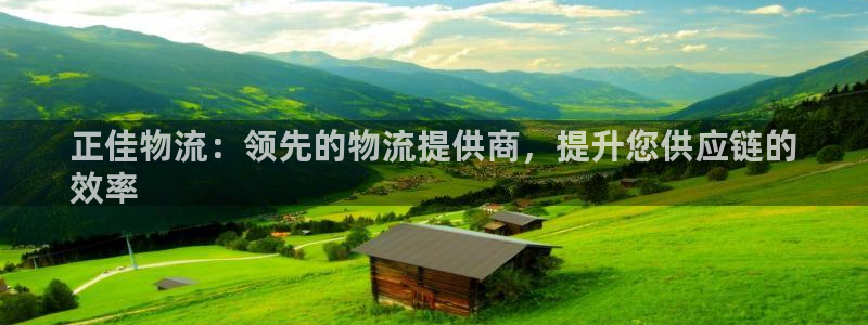 南宫28圈怎么注册：正佳物流：领先的