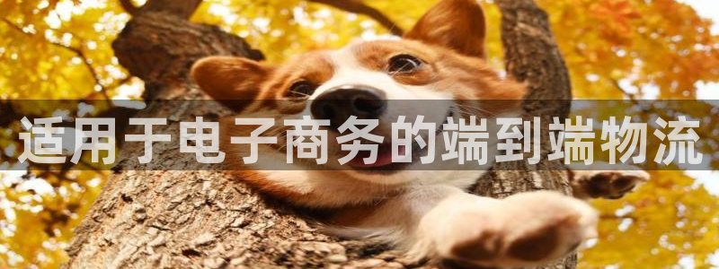 28圈官网下载链接是什么网站：适用于