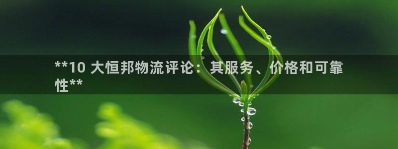 28圈注册链接入口：**10 大恒邦