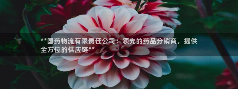 28圈南宫娱乐官网