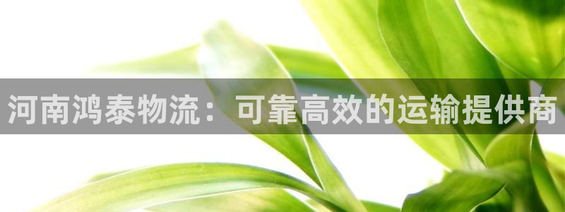28圈下载不了