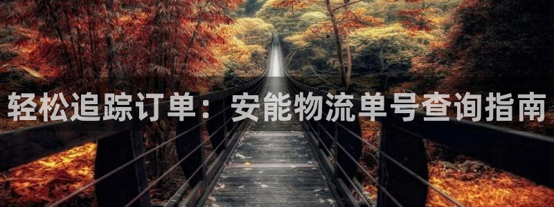 28圈官网版所有版本