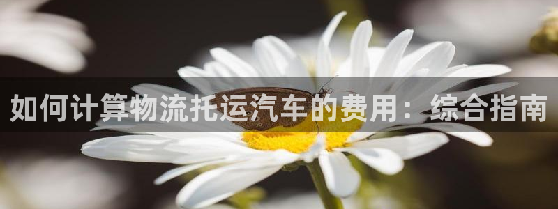 28圈反水什么时候到：如何计算物流托