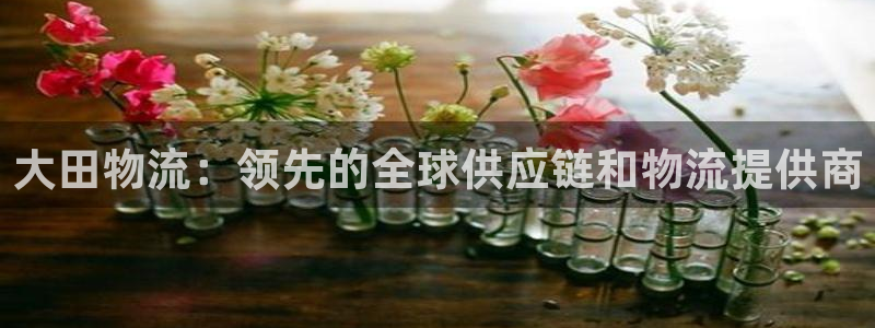 28圈官网版下载