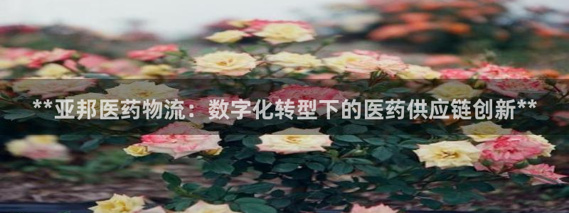 28圈注册网站APP：**亚邦医药物