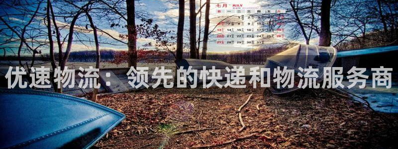 28圈注册步骤：优速物流：领先的快递
