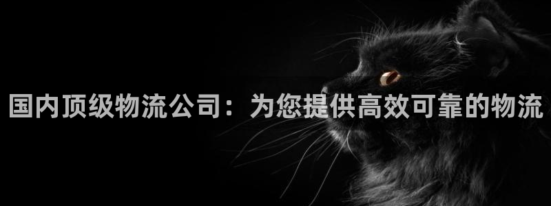 28圈初始资金密码是什么