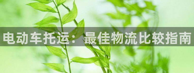 28圈是啥：电动车托运：最佳物流比较