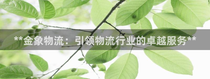 28圈起来的符号：**金象物流：引领