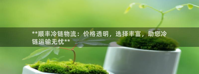 28圈预测网