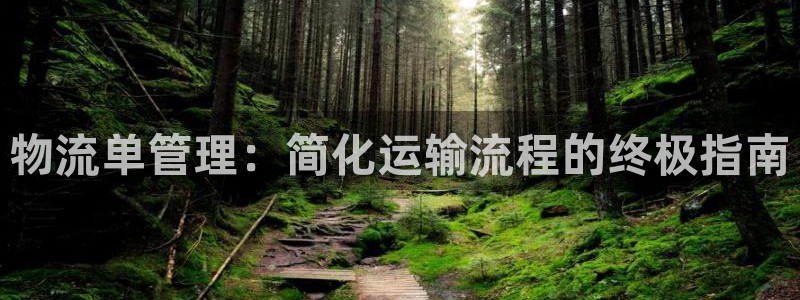 28圈p扣除是什么意思