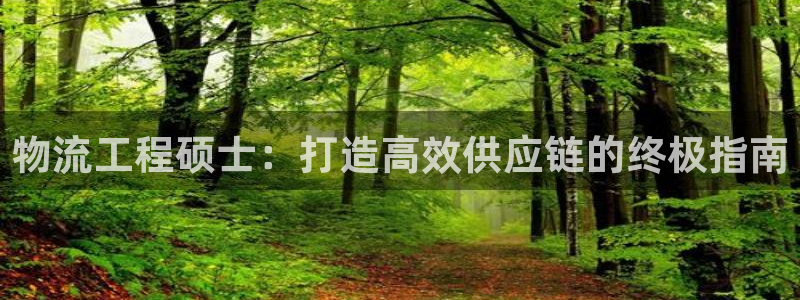 28圈充值金额随便：物流工程硕士：打