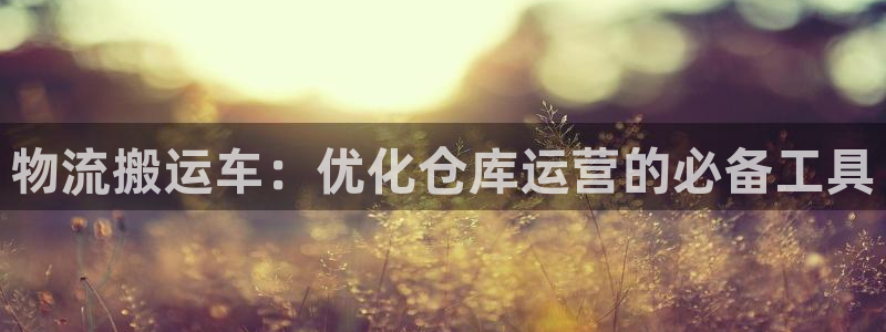 28圈那个才是充值账号