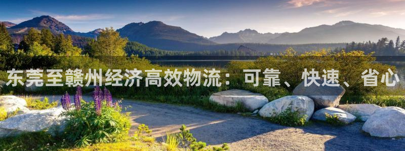 28圈模拟器在线玩