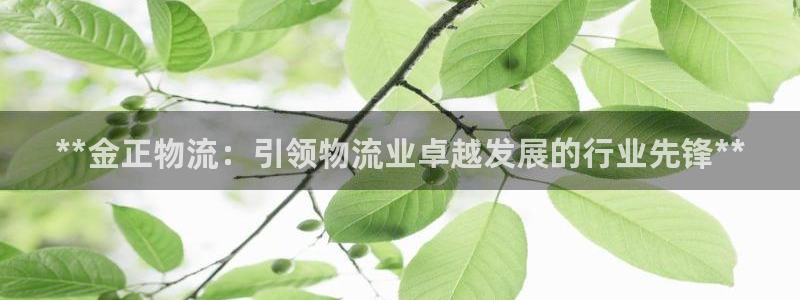28圈黑钱