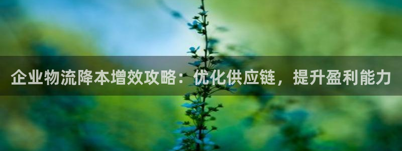 28圈黑吗：企业物流降本增效攻略：优