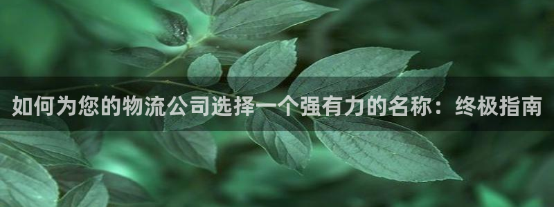 28圈充值不到账怎么回事：如何为您的