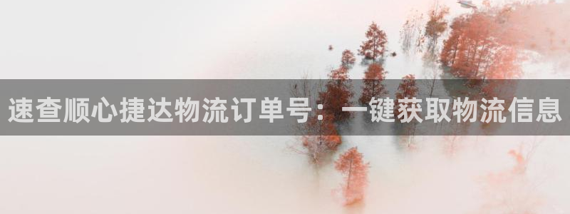 28圈加拿大app预测：速查顺心捷达