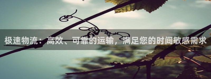 28圈网赌有什么风险
