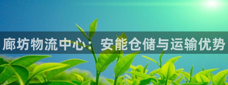 28圈网站平台是多少