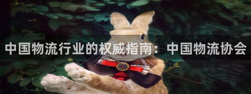 28圈充值为什么充不了
