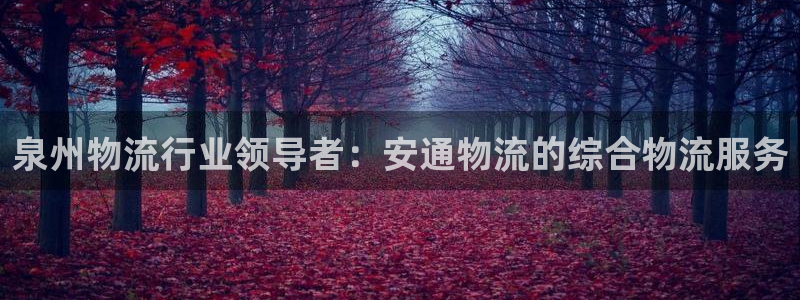 28圈软件有什么用