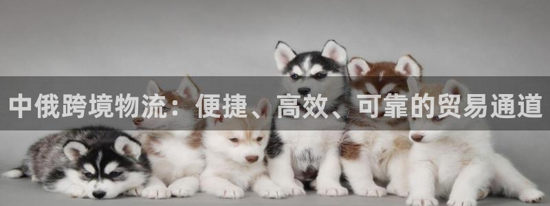 28圈入口问一问：中俄跨境物流：便捷