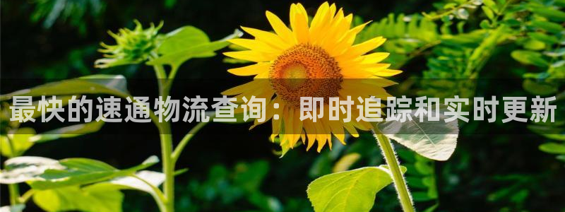 28圈正规吗：最快的速通物流查询：即