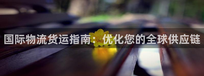 28圈注册网站多少：国际物流货运指南