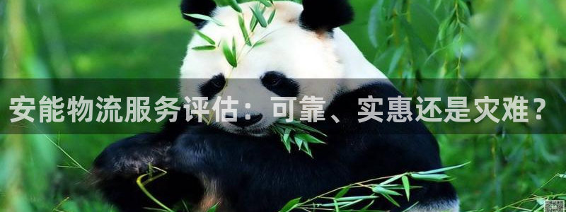 28圈游戏官网入口