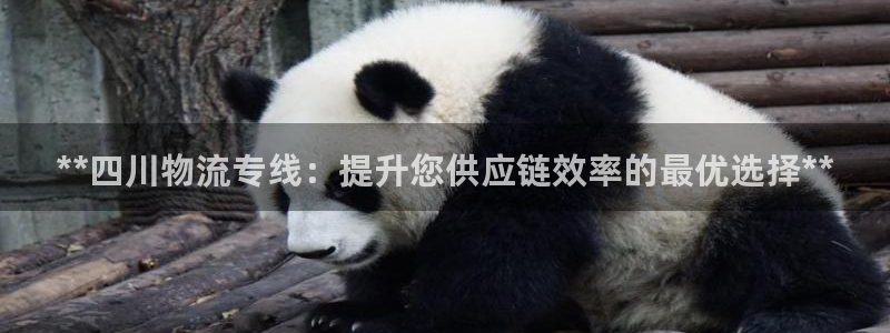 28圈.ccm南宫：**四川物流专线
