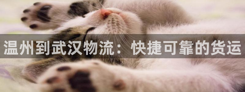 28圈下分了不给钱：温州到武汉物流：
