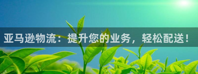 28圈官方官网版：亚马逊物流：提升您